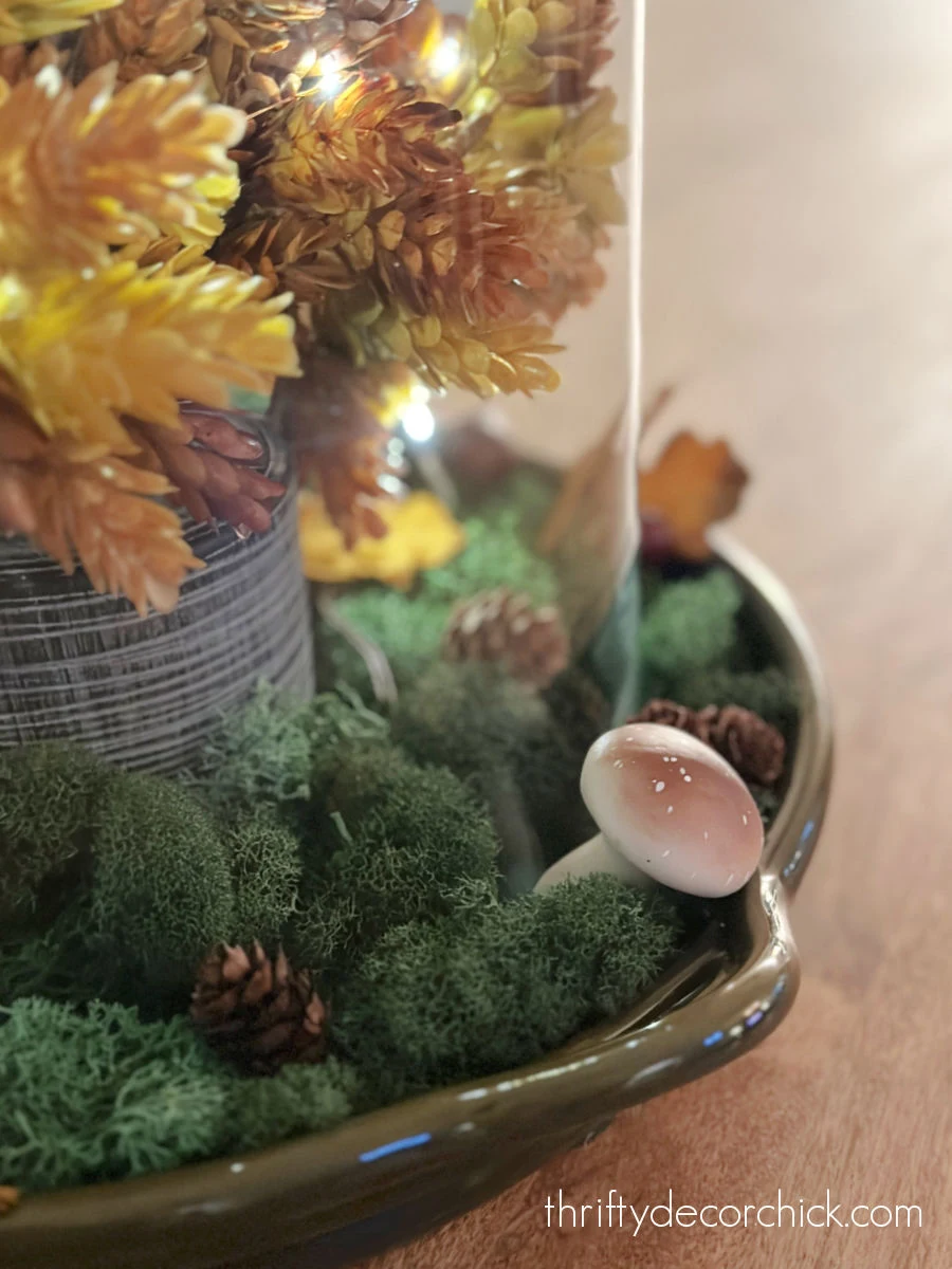 glass cloche with fall display